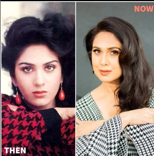 Meenakshi Seshadri, meenakshi seshadri age, meenakshi seshadri now, meenakshi seshadri family, meenakshi seshadri movies, meenakshi seshadri wiki, meenakshi seshadri children, meenakshi seshadri children, meenakshi seshadri instagram, who is the daughter of meenakshi seshadri?