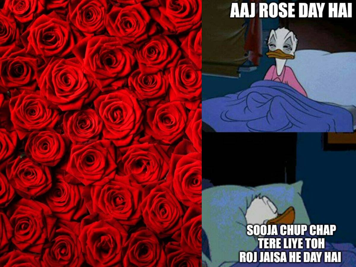 Rose day 2023 funny memes across twitter as singles brace for ...