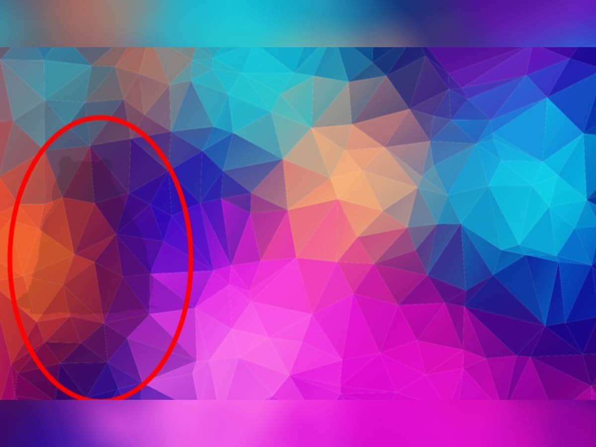 which Animal do You See Behind These Colours, Animal do You See Behind These Colours, Optical Illusion To Test Your Eye, Optical Illusion, Viral Optical Illusion, Spot The Object In Picture