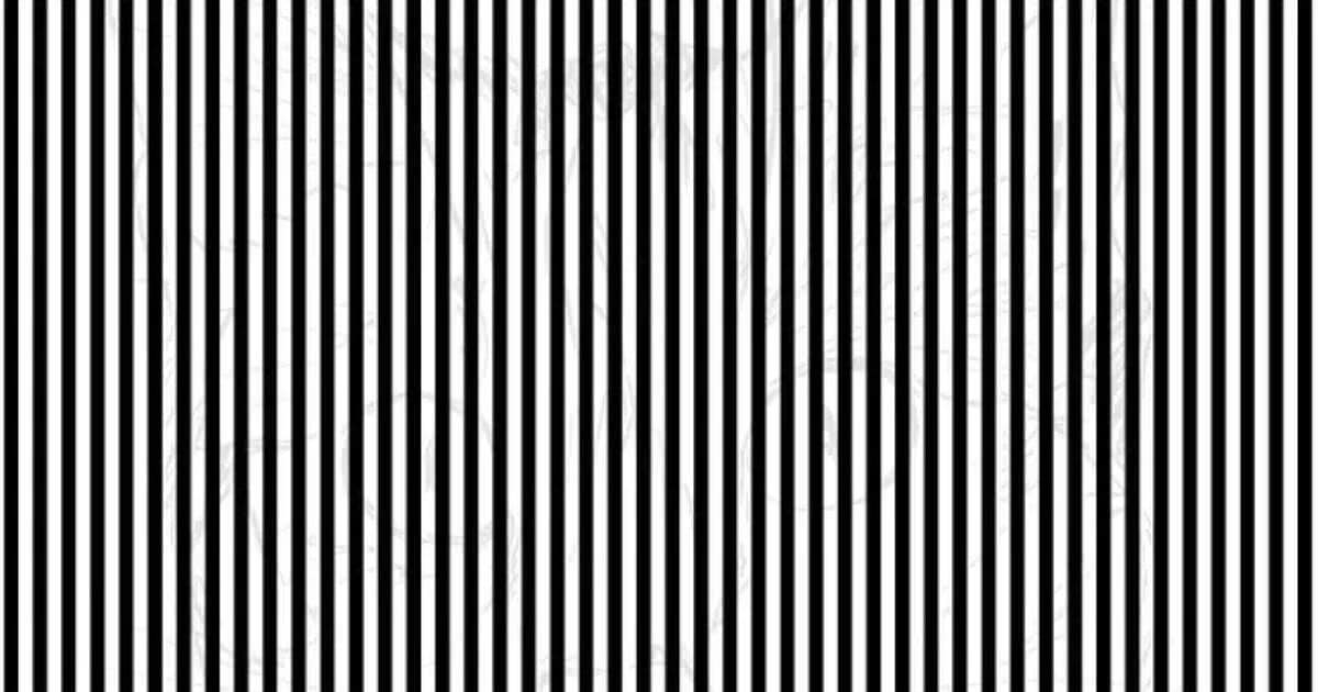 The animal is hiding behind the lines, the eyes are sharp, then find them and show them, the challenge is of 12 seconds!