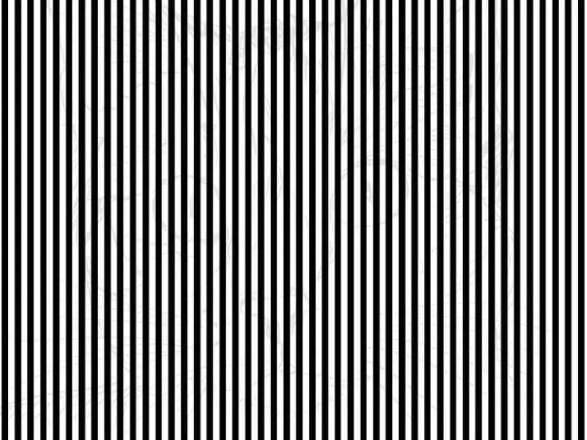 can you spot an animal in 12 seconds, spot an animal in 12 seconds, spot an animal behind black lines, optical illusion puzzle, optical illusion, optical illusions, Spot An Animal Behind Lines, Viral Puzzle, Trending Puzzle