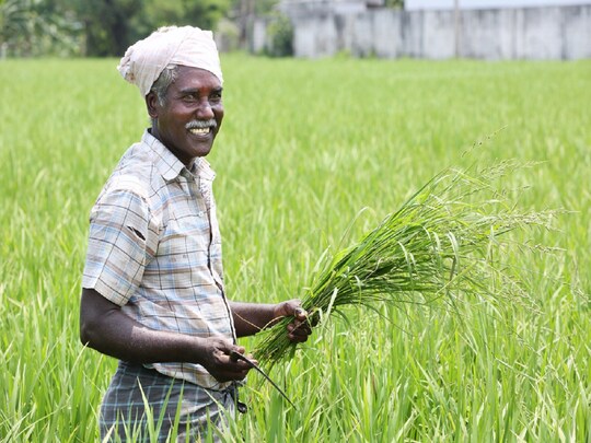 प्रधानमंत्री किसान मानधन योजना (PM Kisan Mandhan Scheme)
