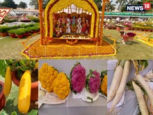 इंसान के कद के बराबर 'लौकी', तस्वीरों में देखिए लखनऊ की अजब-गजब प्रदर्शनी