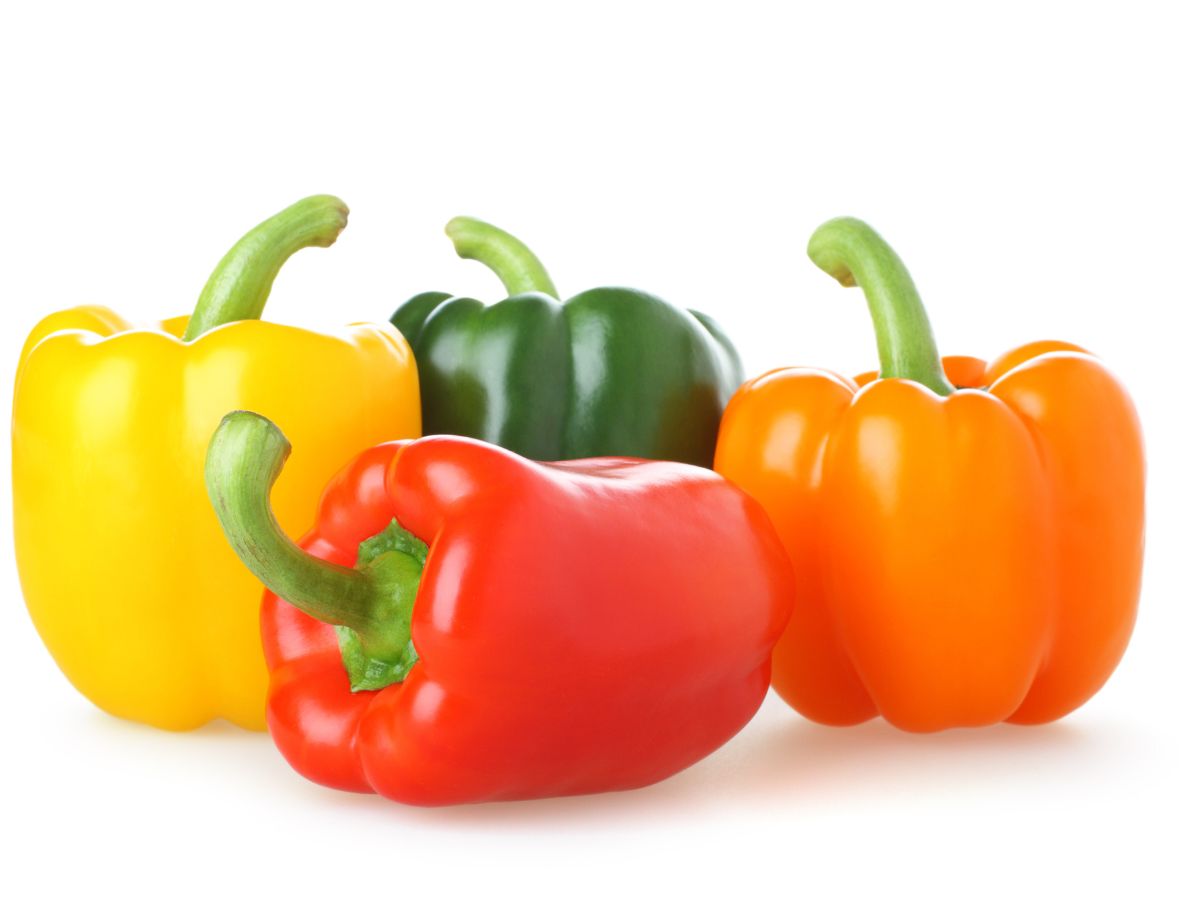  कॉर्डनब्‍लू की रिपोर्ट के मुताबिक शिमला मिर्च (Capsicums) को अगर आप कच्‍चा खाएं तो इसमें मौजूद विटामिन सी दैनिक आपूर्ति को आसानी से पूरा करता है. इसमें विटामिन बी 6, विटामिन ई, मैग्नीशियम और एंटीऑक्सीडेंट भी भरपूर होते हैं. लेकिन हीट के प्रभाव में आकर इनमें कमी आने लगती है. अध्ययन में पाया गया कि लाल शिमला मिर्च पकाए जाने पर 75% तक यह अपने एंटीऑक्सीडेंट को खो देती है जबकि फाइबर की मात्रा में 15-40% की कमी हो जाती है. (Image : Canva)