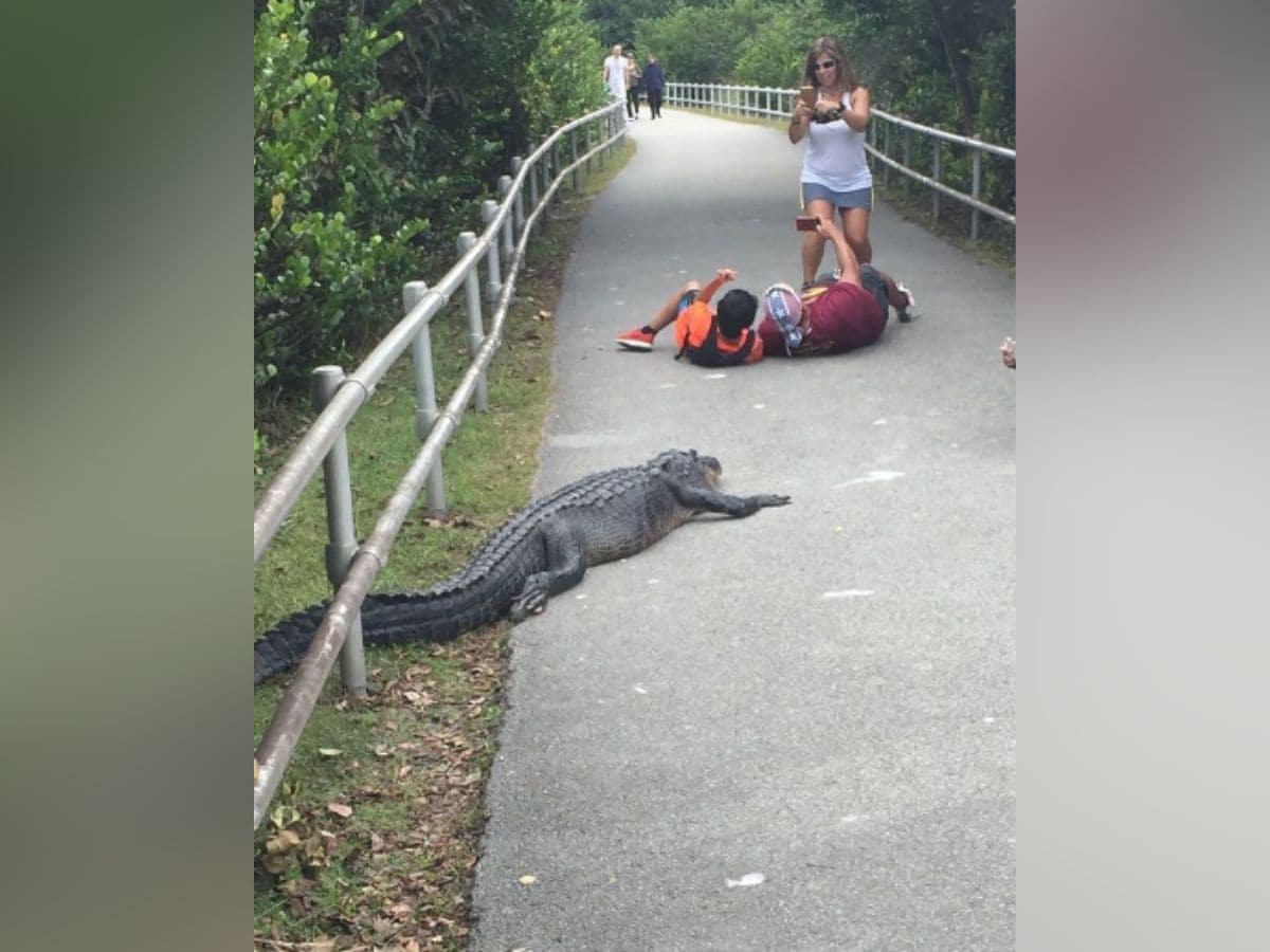 selfie with crocodile 1