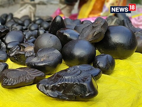 भगवान विष्णु ने कार्तिक शुक्ल एकादशी को शालिग्राम स्वरूप धारण किया था. 