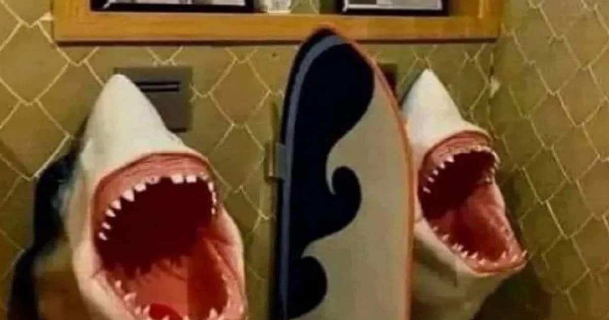 Viral picture of shark open mouth in toilet unique toilet design shark