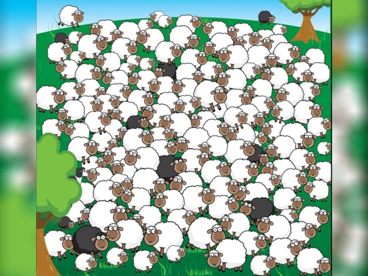 can you spot a dog among flock of sheep , spot a dog among flock of sheep, spot a dog among flock of sheep witin 10 seconds, optical illusion puzzle, optical illusion, Viral optical illusion, can you spot a dog, viral optical illusion, viral puzzle, trendig puzzle, mend bending puzzle, mind games