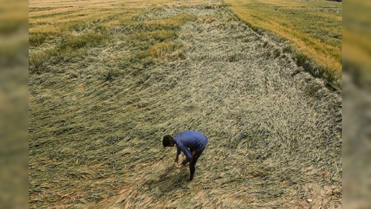 Multilayer Farming: खेती में आजमाएंगे ये तरीका तो जमीन का छोटा सा टुकड़ा भी कर देगा मालामाल, एक साथ पैदा होंगी कई फसलें
