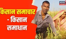 Agriculture News : खेती-बाड़ी और किसानी से जुड़ी कुछ प्रमुख खबरें | Annadata | Latest News | News18