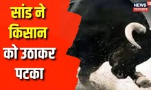 Bharatpur: सांड ने किसान को उठाकर पटका, मौत, हमले में 2 अन्य घायल | Latest News