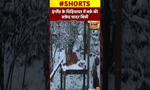 भारी बर्फ़बारी के बाद इंग्लैंड के चिड़ियाघर में बर्फ़ की सफ़ेद चादर बिछी #shorts