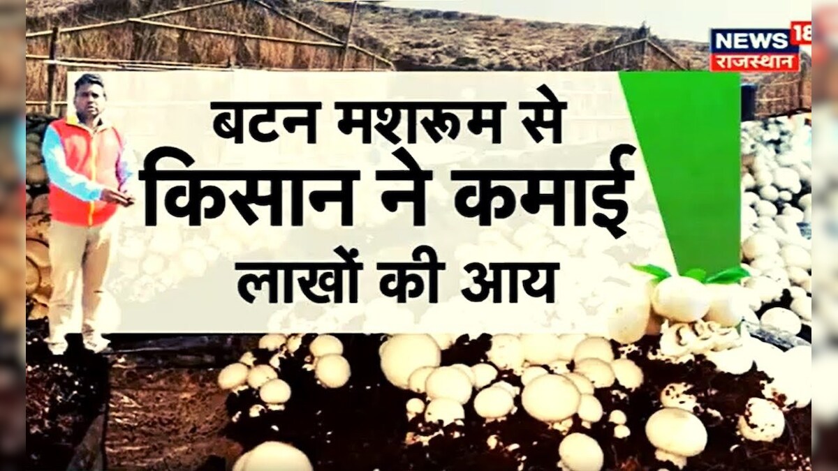 Button Mushroom Farming : कैसे शुरू करें बटन मशरूम की खेती? | Annadata