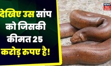 Bokaro News: Rare snake rescue, it is worth about 25 crores in the international market.TOP News