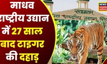Shivpuri News: Madhav National Park में 27 साल के बाद सुनाई देगी टाइगर की दहाड़| Latest News| News18