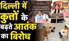 Delhi में Dog Attacks के बढ़ते मामलों को लेकर BJP नेता-RWA का MCD के खिलाफ़ विरोध | News18 India