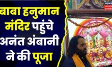 Jamnagar के बाला हनुमान मंदिर पहुंचे Anant Ambani ने की पूजा, Trust ने भेंट की तस्वीर।Top Hindi News