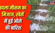 Rajasthan Snowfall : तेज हवाओं के साथ हुई ओले की बारिश, फावड़े के बर्फ हटाते दिखे किसान। Top News