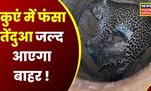 कांकेर : तेंदुए को कुएं से निकालने का रेस्क्यू ऑपरेशन जारी |  नवीनतम समाचार |  सीजी न्यूज |  मुख्य समाचार