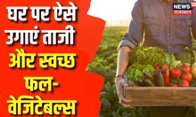 Agriculture News: घर पर उगाएं ताजी और स्वच्छ फल-सब्जियां | Annadata | Latest News | News18