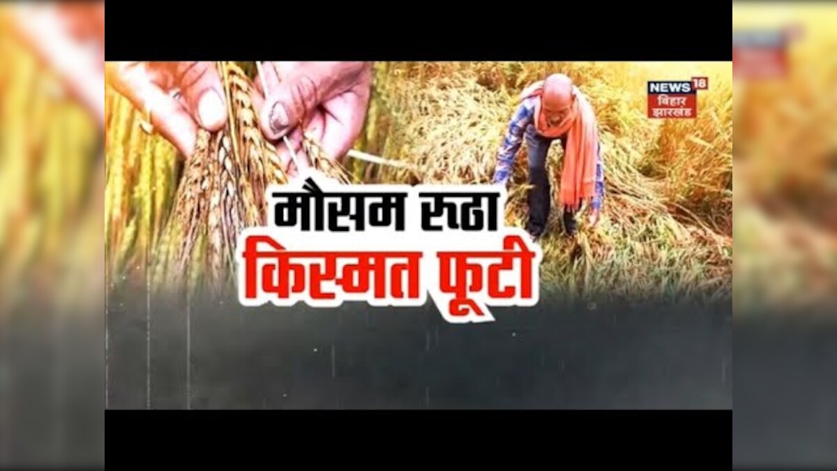 Gopalganj Weather Update मौसम की मार से अन्नदाता बेहाल, भारी बारिश। Top News Farmer Bihar