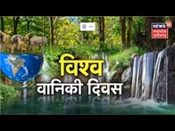 World Forestry Day 2023 : विश्व वानिकी दिवस पर Annadata कार्यक्रम की खास पेशकश । Farming News