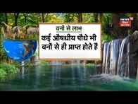 Annadata: वनों के क्या लाभ हैं ? | Agriculture | Organic |