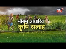 Anndata :  मौसम आधारित किसानों को कृषि सलाह, यहां जानें | Weather Farming | Farming | Kissan
