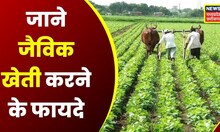 Annadata: The right way to do organic farming.  Agriculture News |  Farming News |  fertilizers