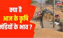 Rajasthan Mandi Bhav Today | आज अन्नदाता में जानिए कृषि मंडियों के बजार भाव | Commodity Market Rate