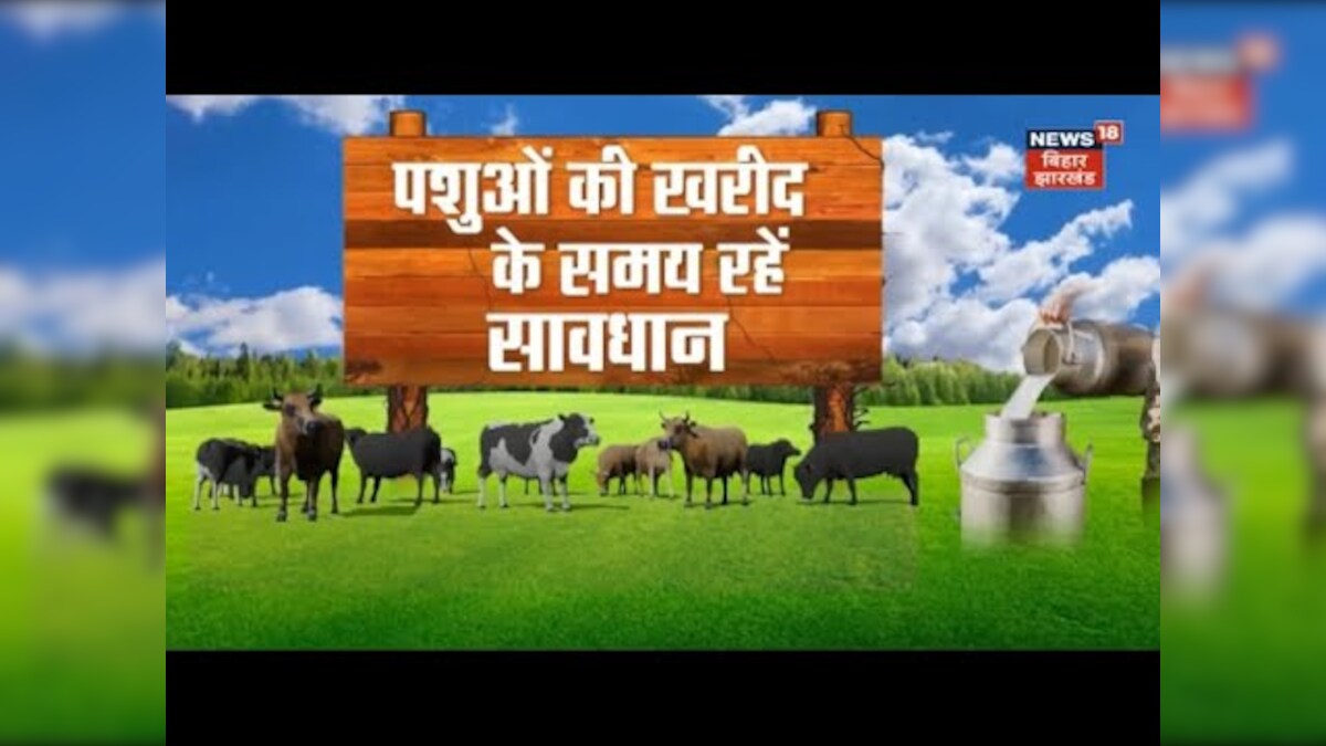 Farming News: अन्नदाता | पशुओं की खरीद के समय रहें सावधान | Annadata | TOP News | Hindi News