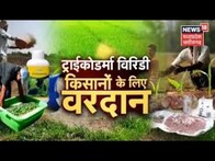 Annadata | Trichogramma Card द्वारा प्राकृतिक रूप से होता है कीट नियंत्रण | Farming News | Top News