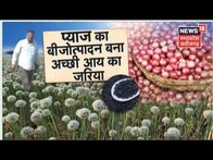 Annadata | प्याज का बीजोत्पादन कर कैसे कमाएं अच्छी आय ? जानिए | Latest News | News18 MP CG