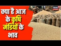 Rajasthan Mandi Bhav Today | आज अन्नदाता में जानिए कृषि मंडियों के बजार भाव | Commodity Market Rate