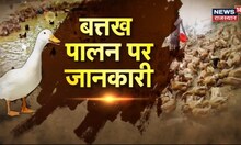 Annadata :बत्तख पालन करके कमाएं अधिक मुनाफा, बत्तख के लिए करें सही आवास और आहार प्रबंधन | Top News