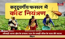 Farming News: अन्नदाता | कद्ददूवर्गीय फसल में कीट नियंत्रण | Annadata | TOP News | Hindi News