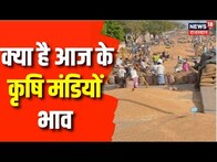 Rajasthan Mandi Bhav Today | आज अन्नदाता में जानिए कृषि मंडियों के बजार भाव | Commodity Market Rate