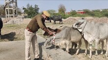 Barmer News: अकेला चना फोड़ रहा है भांड, जानिए सड़क हादसे टालने के लिए कॉस्टेबल सोमवीर की अनूठी पहल