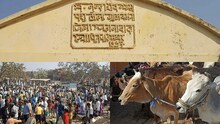 Jahanabad News : जहानाबाद के इस गांव में लगता है पशुओं का सबसे बड़ा मेला, अच्छे नस्ल के मिलते हैं जानवर