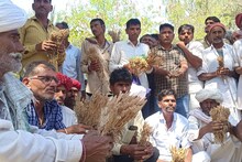 Barmer News : होली पर किसान हुए मायूस, उम्मीदों पर फिरा पानी, जानिए वजह