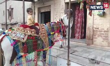 OMG : रानियों की तरह होता है घोड़ी का श्रृंगार, आभूषणों  की कीमत हजारों में...