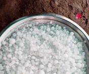 Kota News: ओले के साथ दो दिनों से हो रही है बारिश, फसलें हुईं बरबाद, किसान मुसीबत में