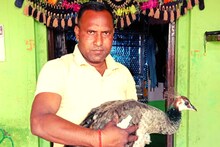 20 साल से लावारिस पशु-पक्षियों की सेवा कर रहा ये शख्स, कहा- जब तक इस धरती पर मेरी सांस रहेगी तब तक...