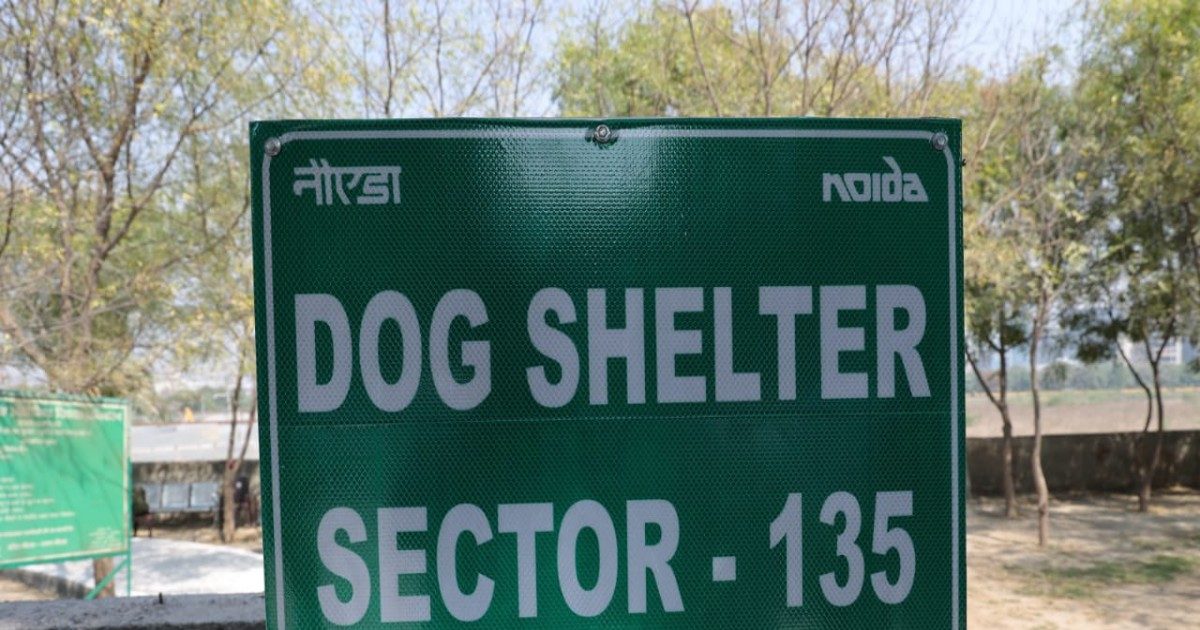 Noida authority opens first dog shelter home in noida sector 50 Good