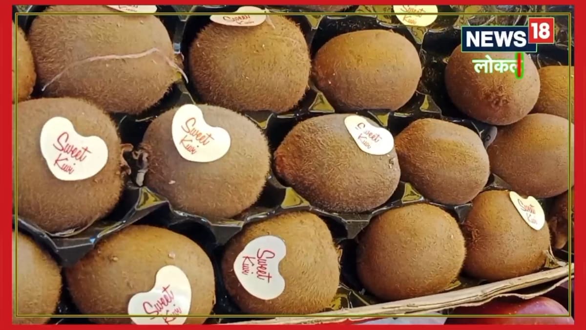 Treatment of dengue is hidden in kiwi fruit do you know how beneficial