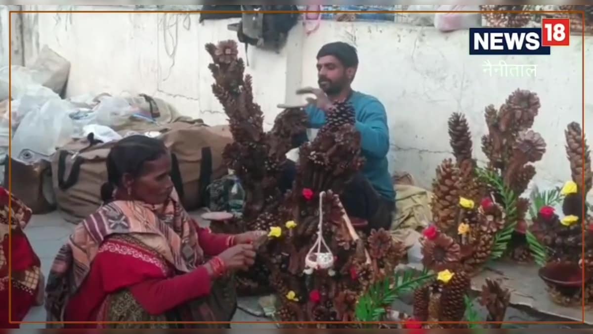 Pine tree flower using to made wood crafts in nainital uttarakhand