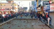 डूंगरपुर में होली के बाद भी खेलते हैं अनोखी होली, एक-दूसरे पर बरसाते हैं गोबर के कंडे, देखें Video