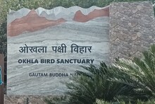 Noida News: न शिमला जाएं-न मसूरी, गर्मी में नोएडा की इन जगहों पर करें फन