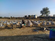 मधुमक्खी पालन कर कम लागत में कमाएं ज्यादा मुनाफा, सरकार से मिलेगी सब्सिडी