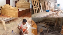 बिहार में सबसे बड़ी है सागौन की लकड़ी, घरों के फर्नीचर और दरवाज़ों के निर्माण में उपयोग होता है, यो दर